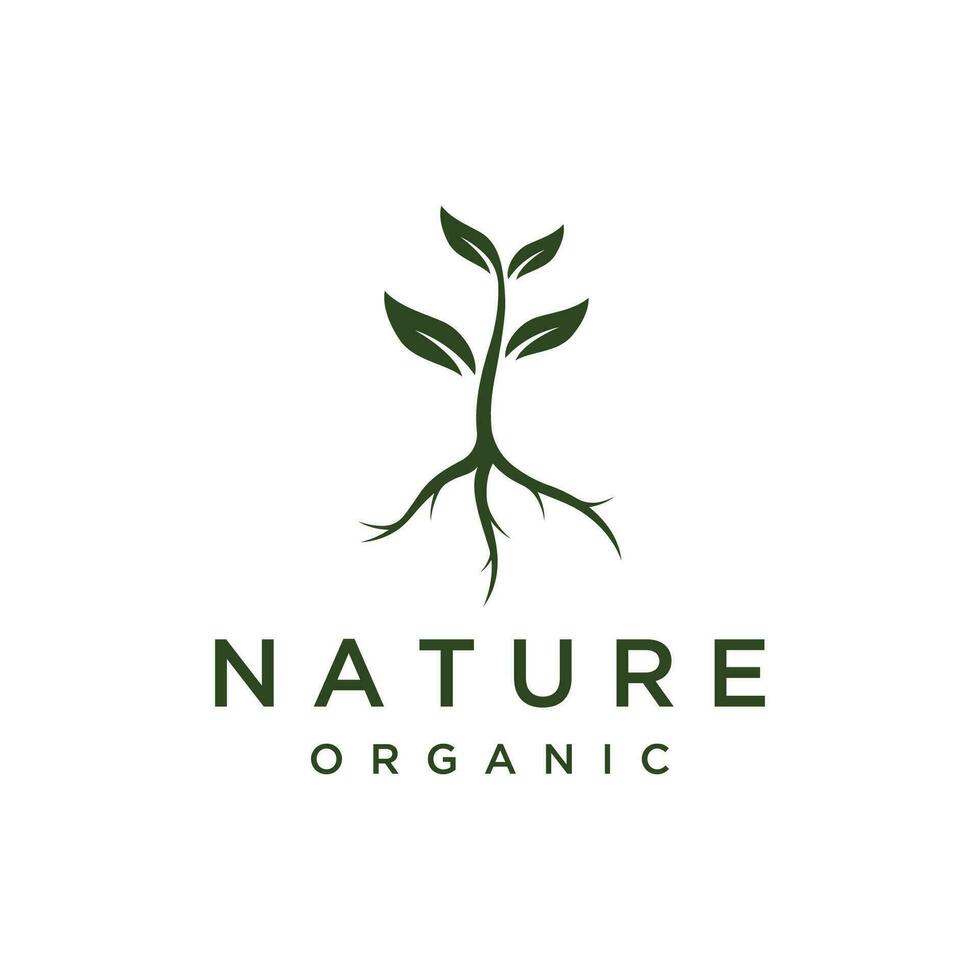 natuurlijk biologisch logo ontwerp met bladeren concept.logo voor natuurlijk producten, ecologie, schoonheid, biologie en landbouw. vector