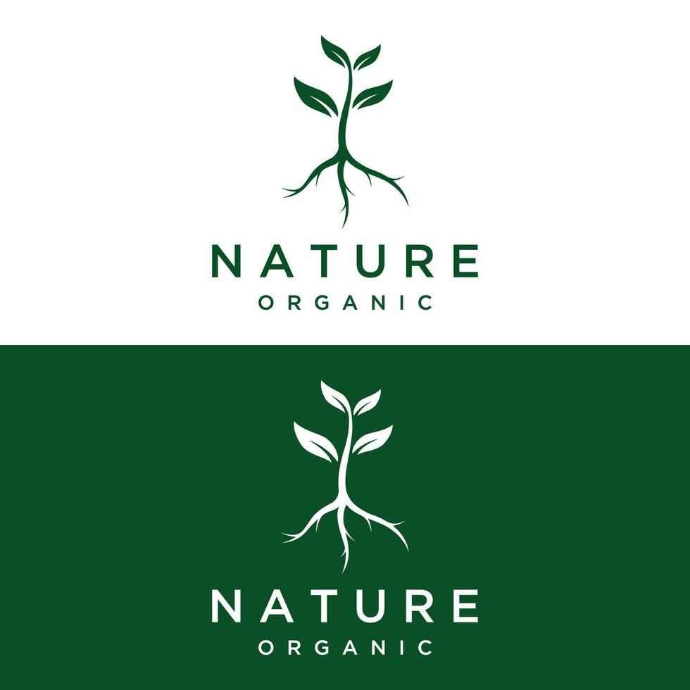 natuurlijk biologisch logo ontwerp met bladeren concept.logo voor natuurlijk producten, ecologie, schoonheid, biologie en landbouw. vector
