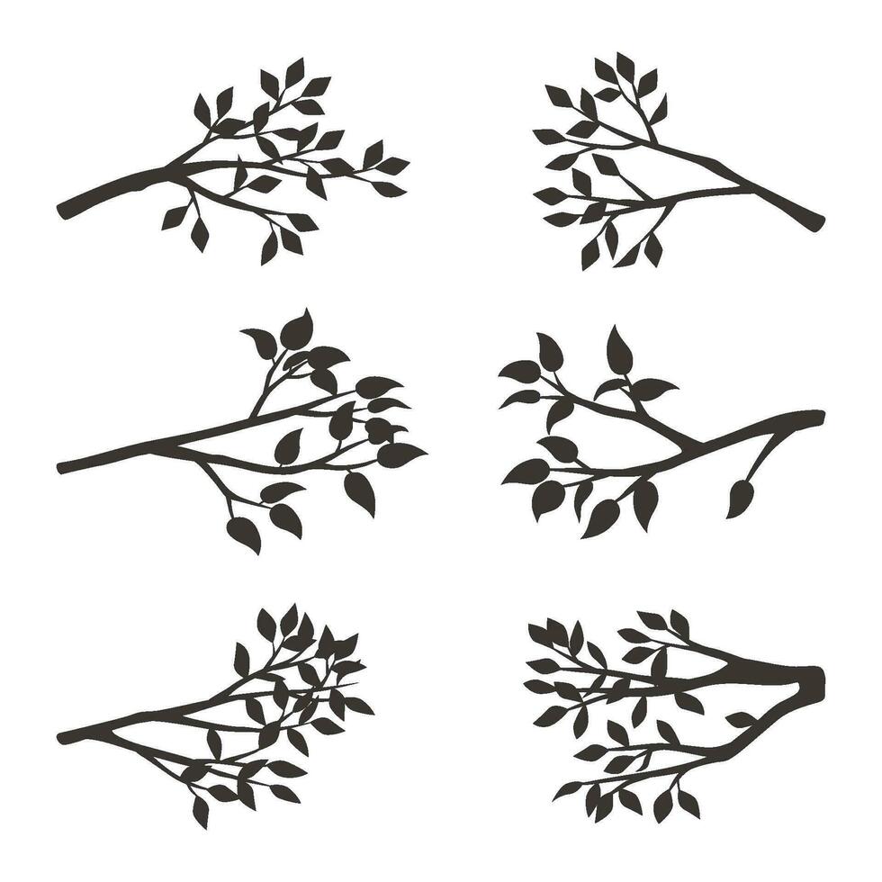 zwart vector silhouetten van takken met bladeren geïsoleerd om een wit achtergrond.