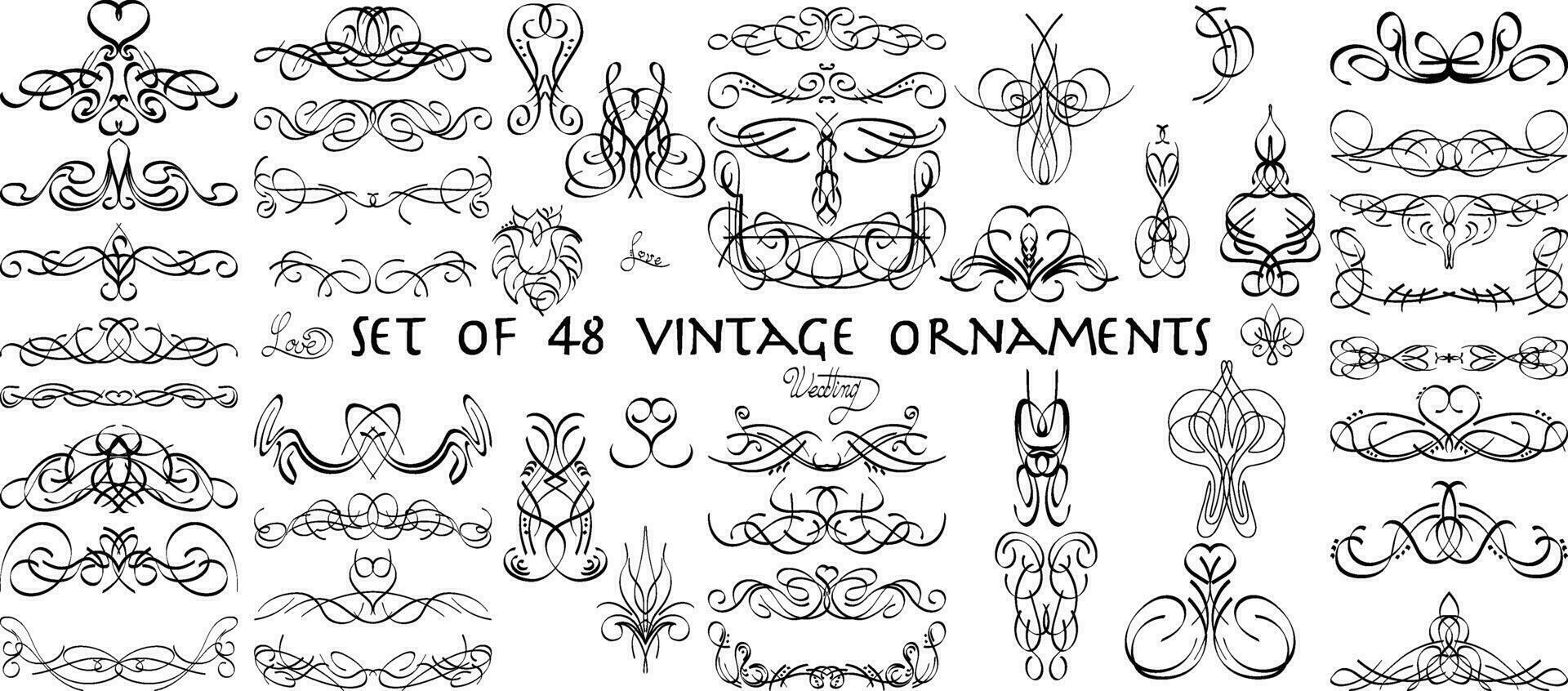 reeks van 48 tekening schetsen tekening wijnoogst ornamenten, bruiloft kaart ontwerp element of bladzijde decoratie, vector grafisch