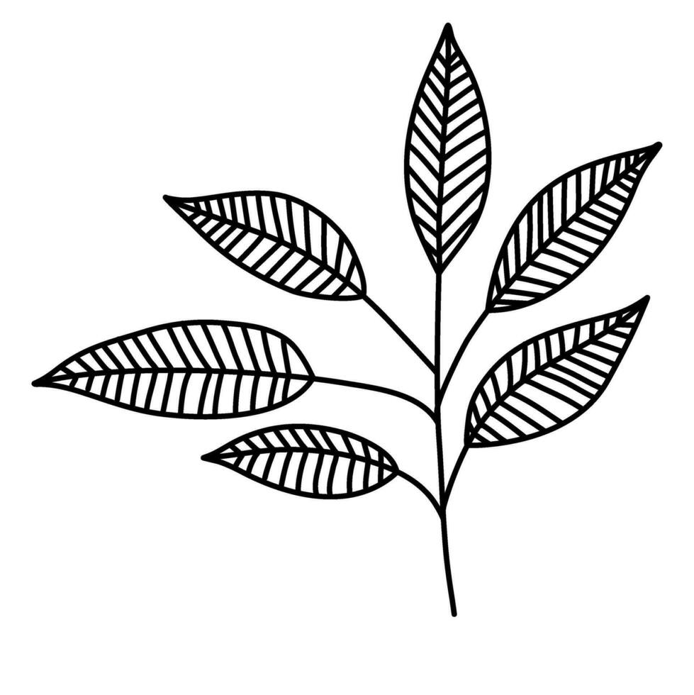 lijn kunst bladeren botanisch illustratie vector