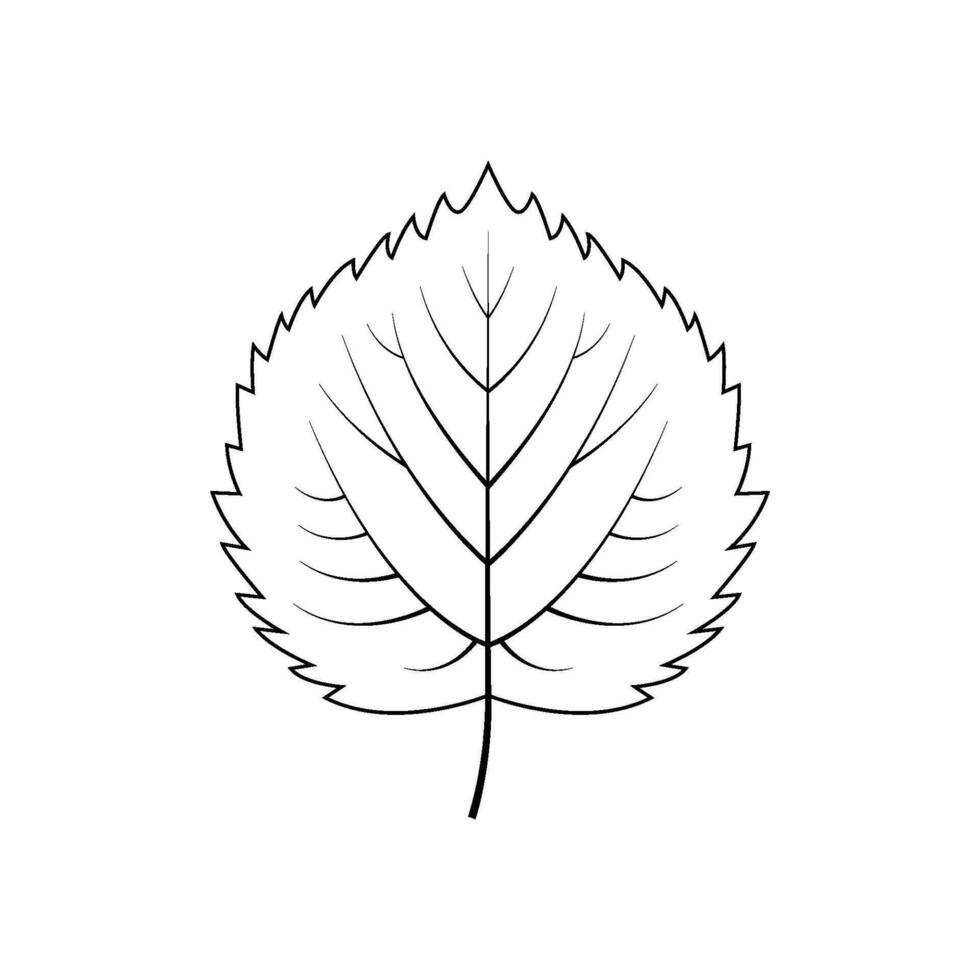 schets boom blad vector illustratie geïsoleerd Aan wit achtergrond
