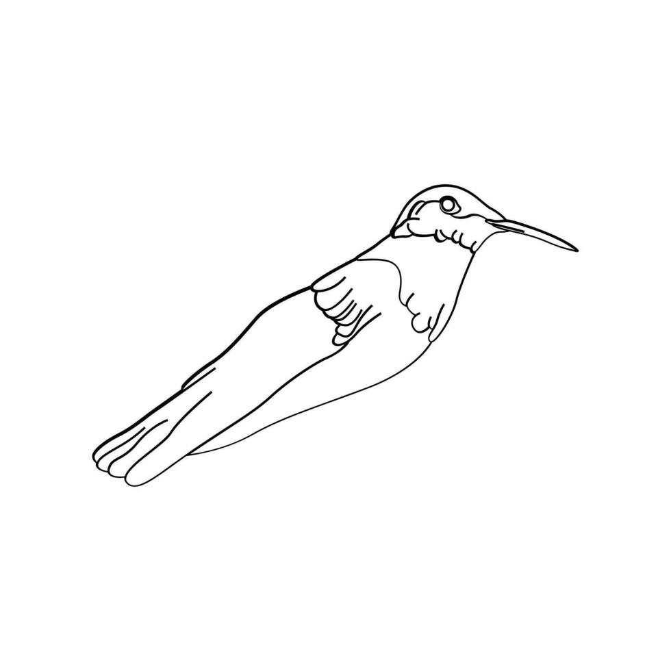 vogel schets vector voor kleur boek en tatoeëren ontwerp. vogel lijn kunst. vogel vector illustratie. vogel schets. vogel lijn kunst. hand- getrokken vogel.