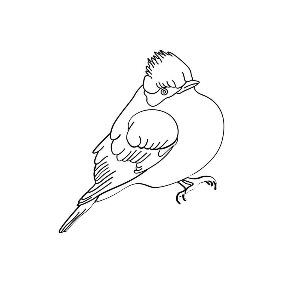 vogel schets vector voor kleur boek en tatoeëren ontwerp. vogel lijn kunst. vogel vector illustratie. vogel schets. vogel lijn kunst. hand- getrokken vogel.