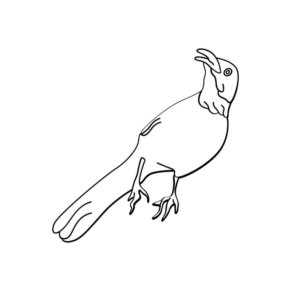 vogel schets vector voor kleur boek en tatoeëren ontwerp. vogel lijn kunst. vogel vector illustratie. vogel schets. vogel lijn kunst. hand- getrokken vogel.