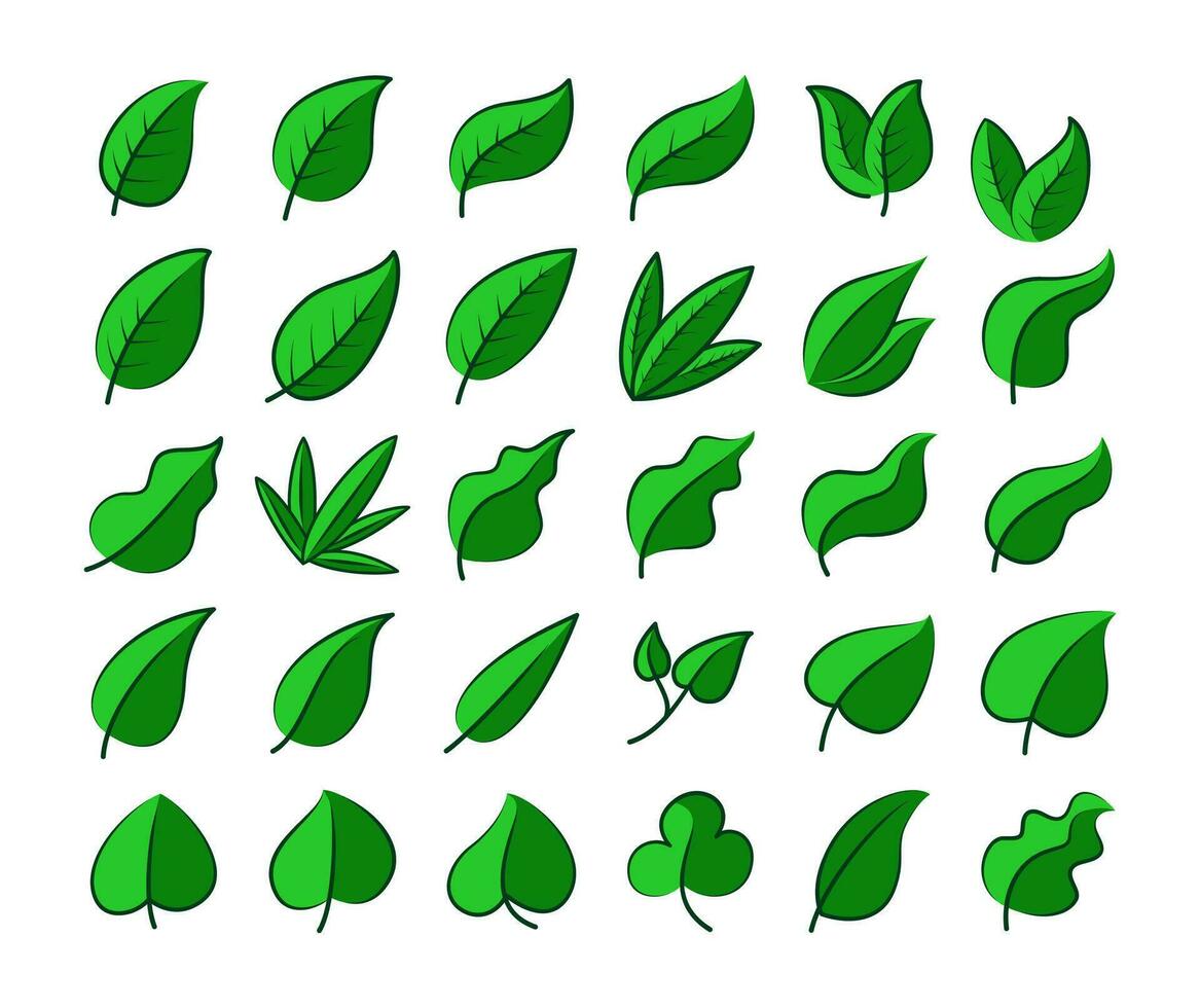 groen blad vector verzameling