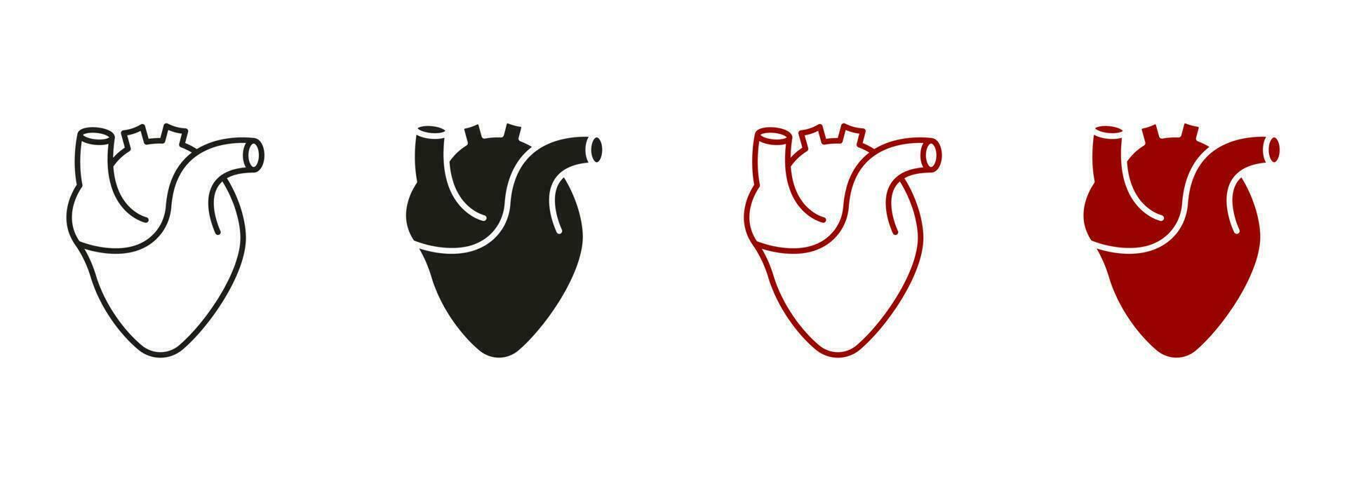 gezond cardiovasculair orgaan symbool verzameling Aan wit achtergrond. menselijk hart, hart- spier lijn en silhouet kleur icoon set. medisch cardiologie pictogram. geïsoleerd vector illustratie.