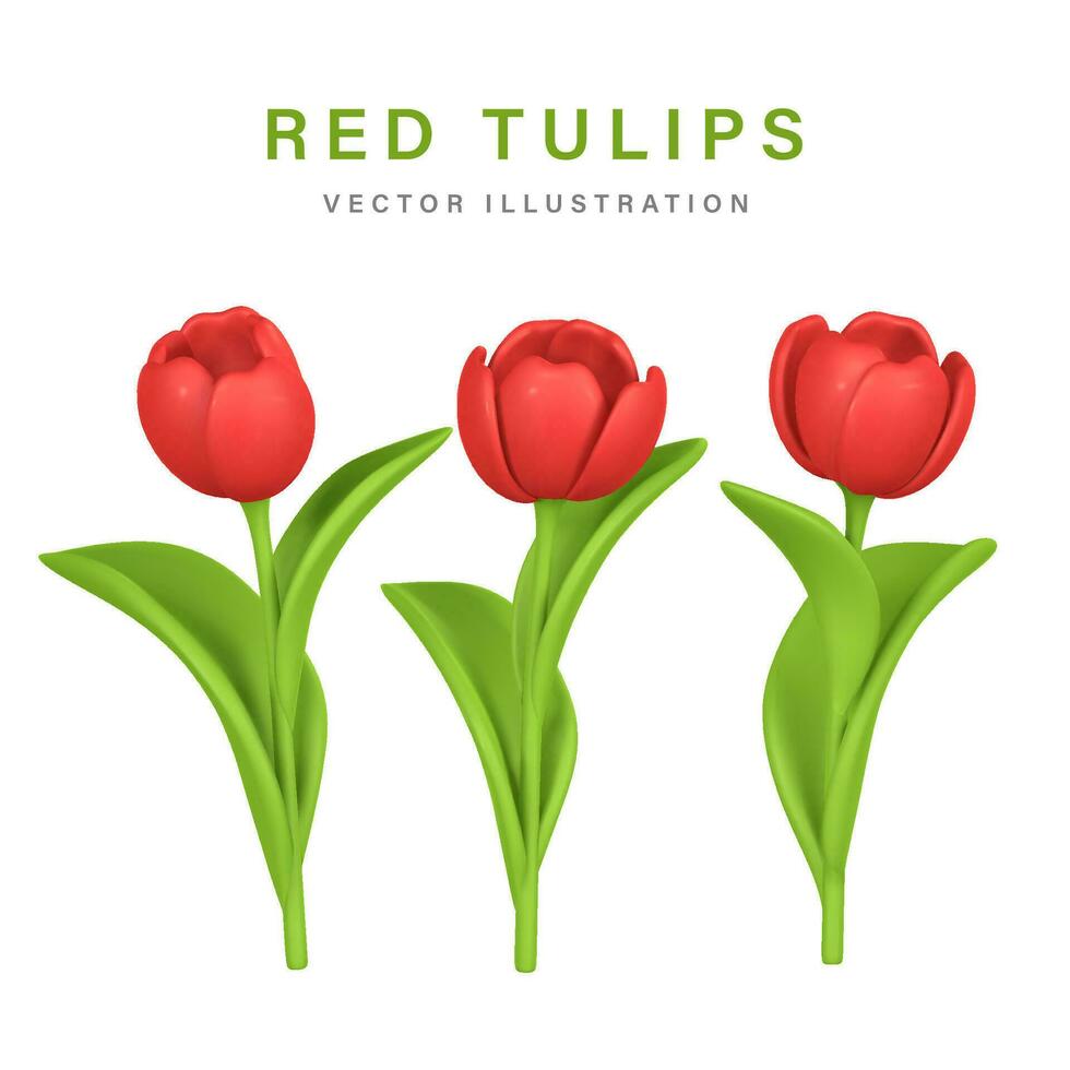 3d schattig kleurrijk voorjaar bloem tulp in tekenfilm stijl voor boeket of decoratie. vector illustratie