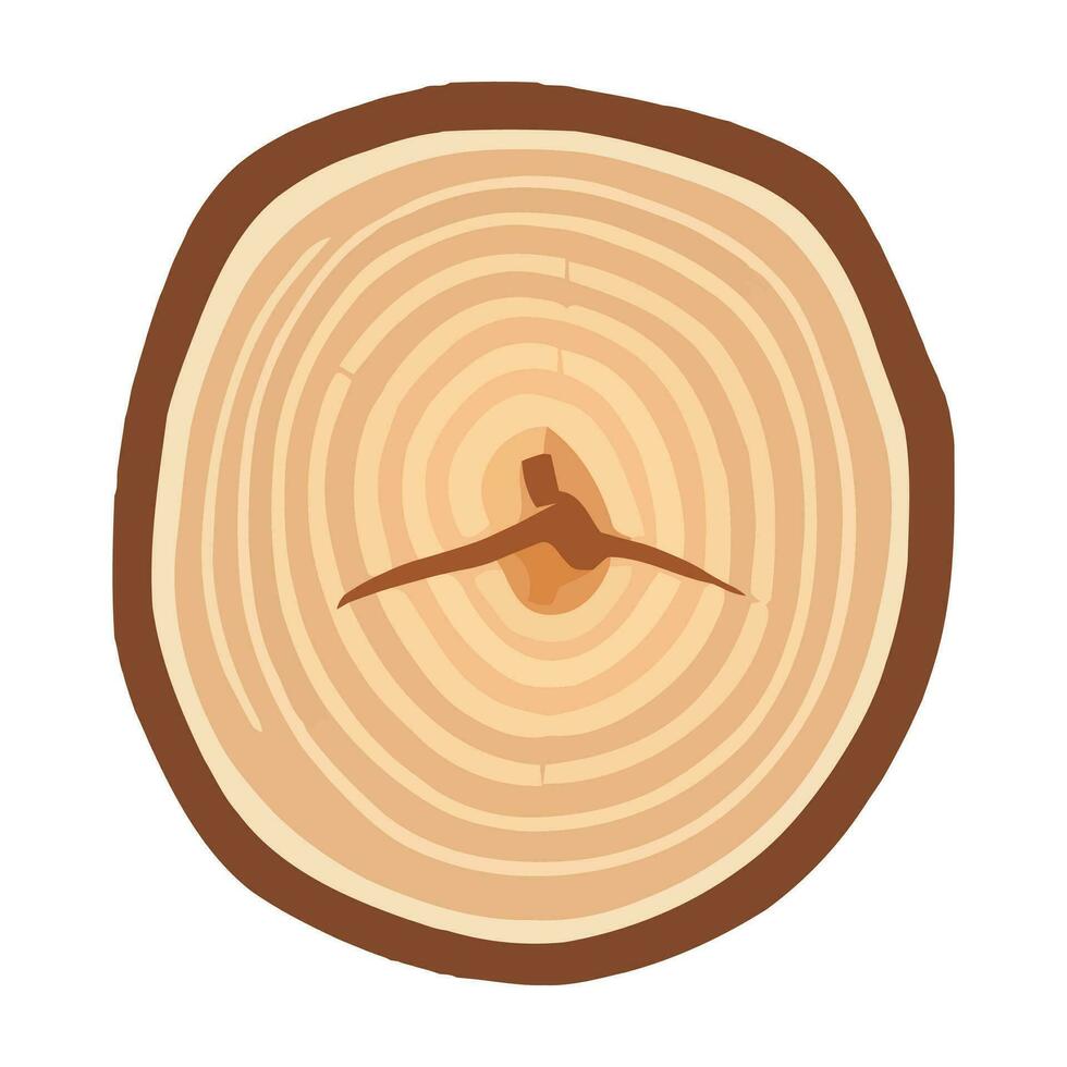 boom romp hout ring. boom romp kruis sectie. hout plak besnoeiing geïsoleerd Aan wit achtergrond. vector