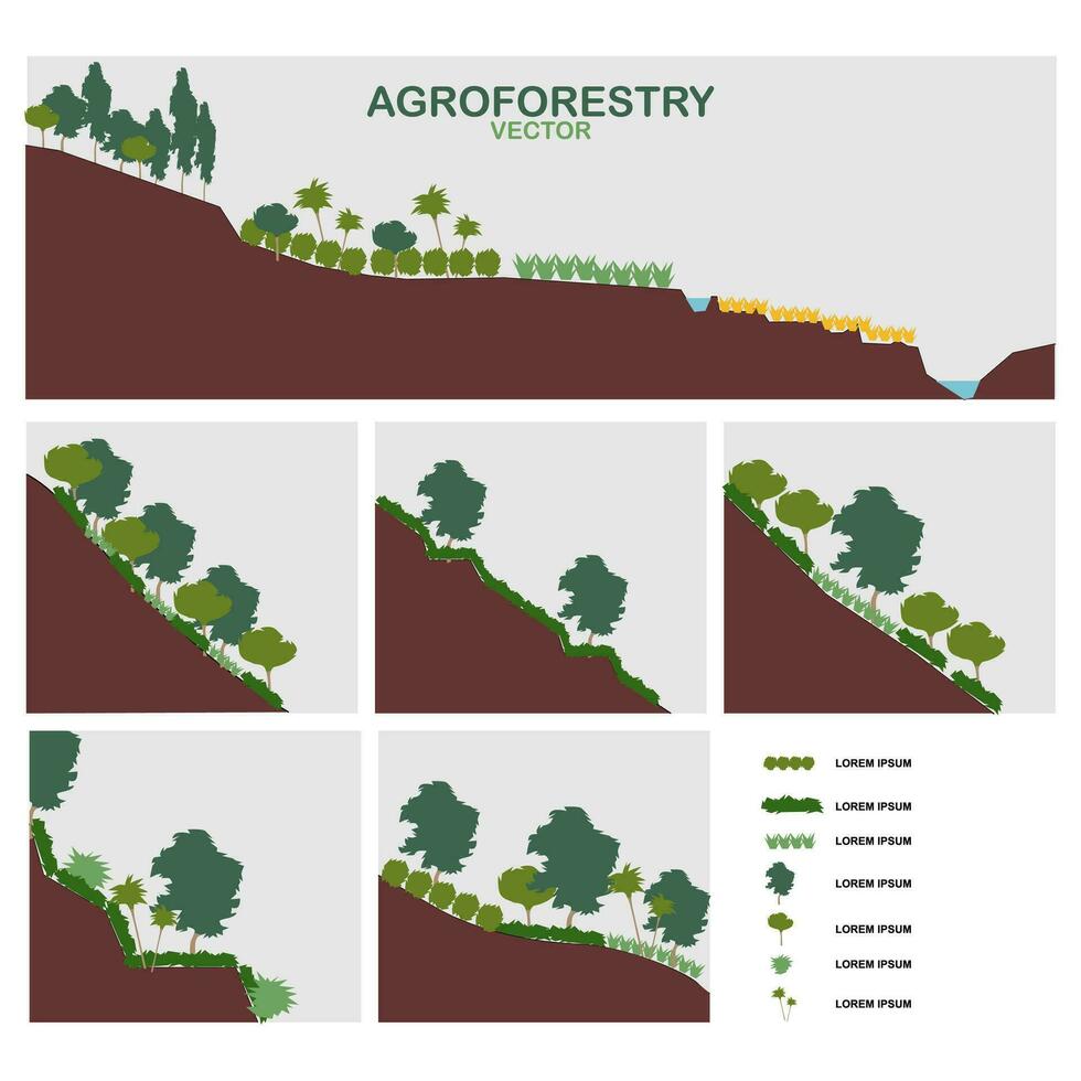 agroforestry vector pack.eps