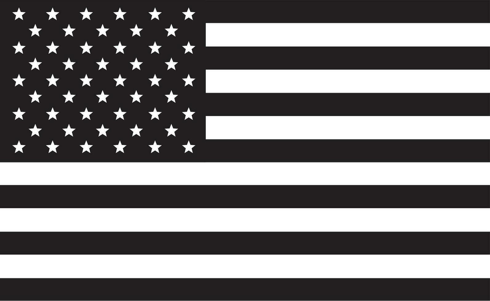 zwart vlag Verenigde Staten van Amerika vector