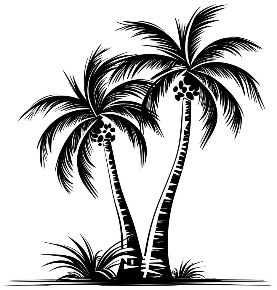 palm bomen zwart en wit vector