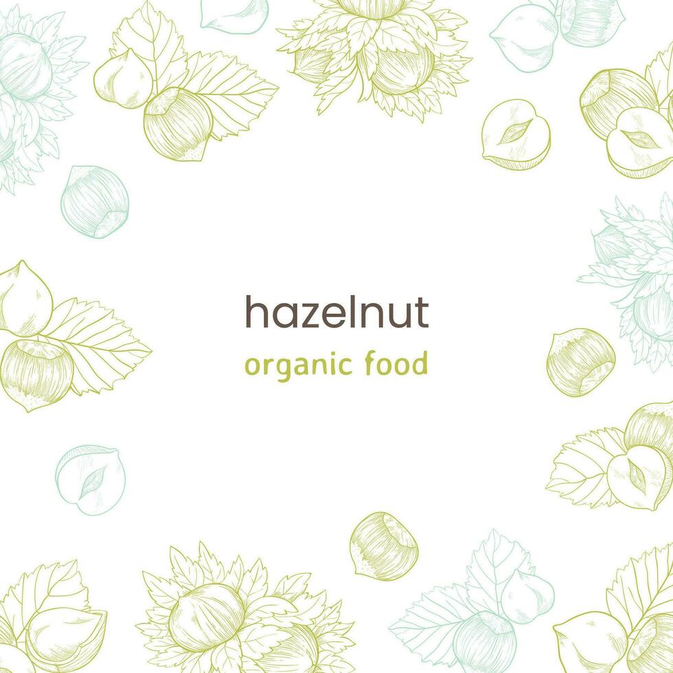 hazelnoot kader plein web banier met noten en bladeren, fruit en pitten. hazelnoot patroon, biologisch Product vector