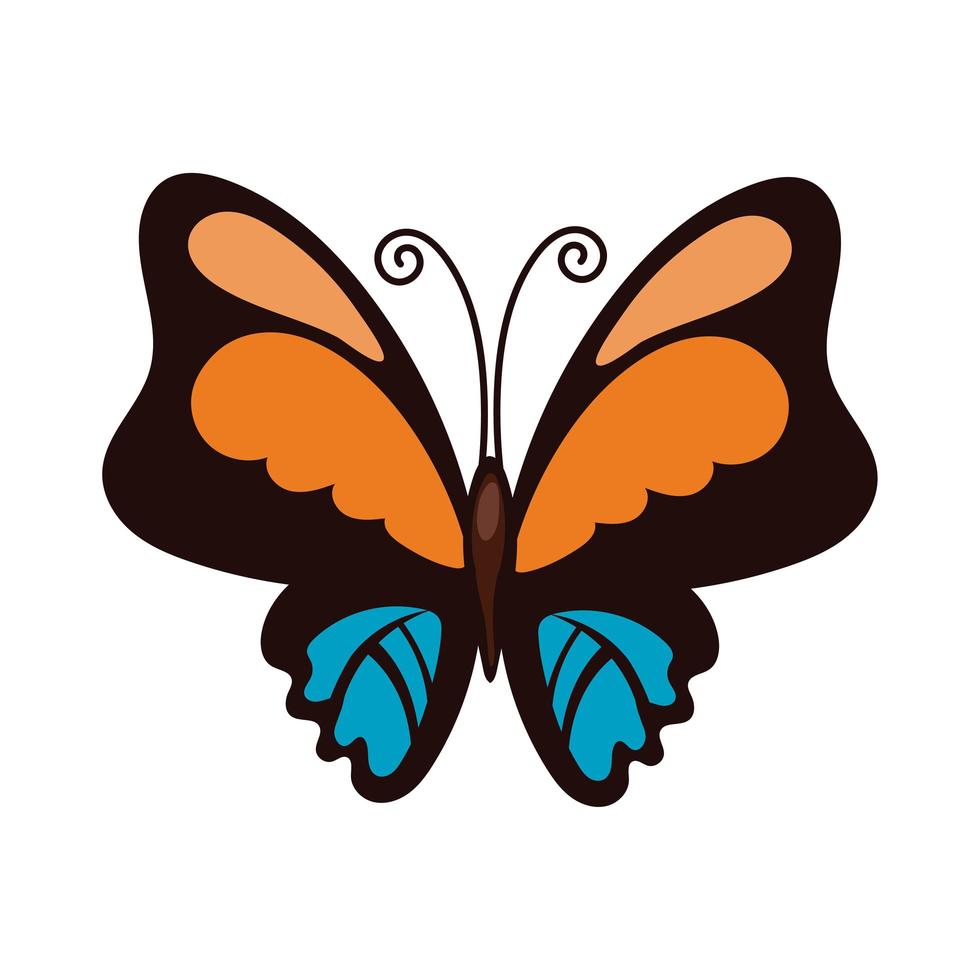 mooie vlinder oranje insect platte stijlicoon vector