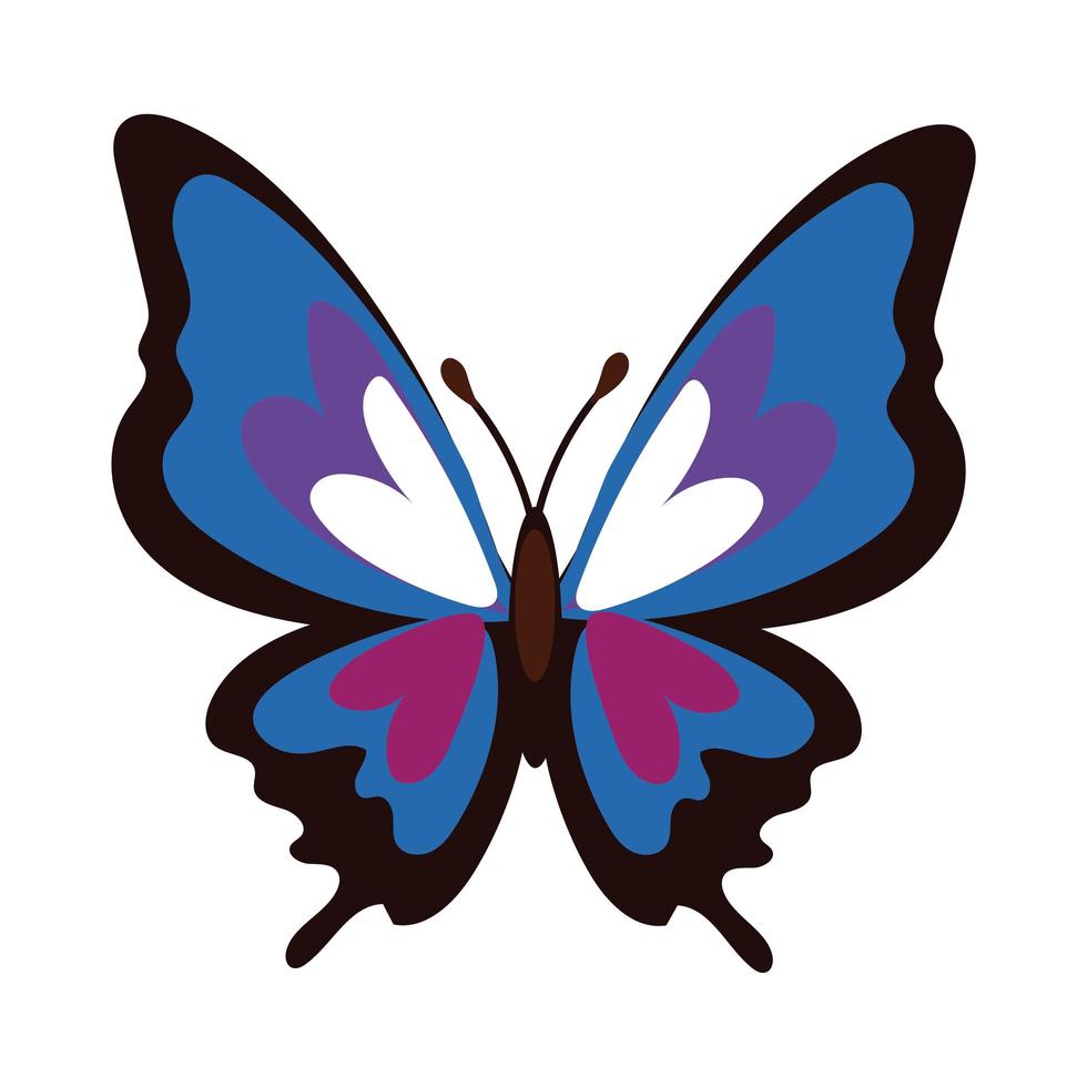 mooie vlinder paars insect platte stijlicoon vector