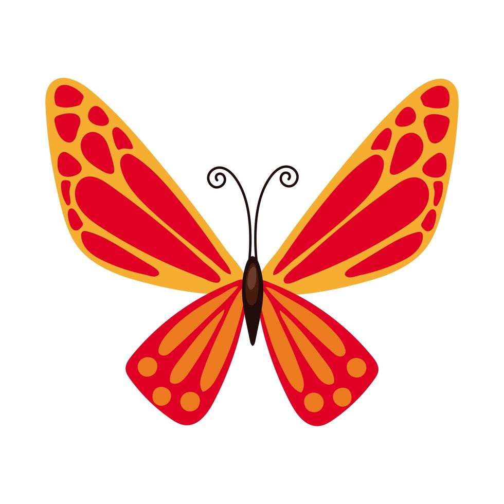 mooie vlinder oranje insect platte stijlicoon vector