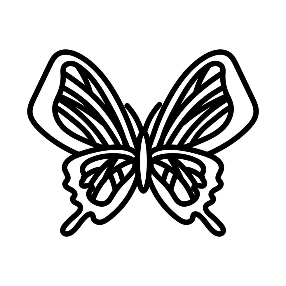 prachtige vlinder insect lijn stijlicoon vector