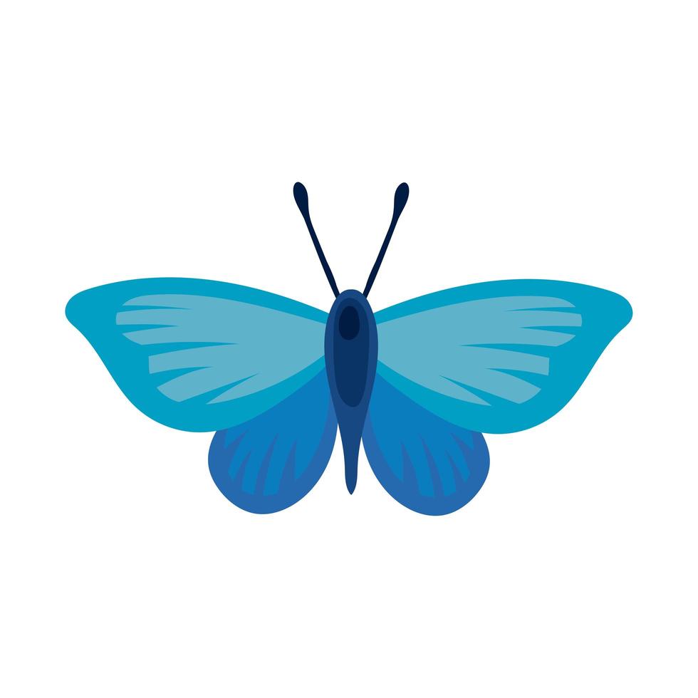 mooi vlinderinsect blauw plat stijlicoon vector