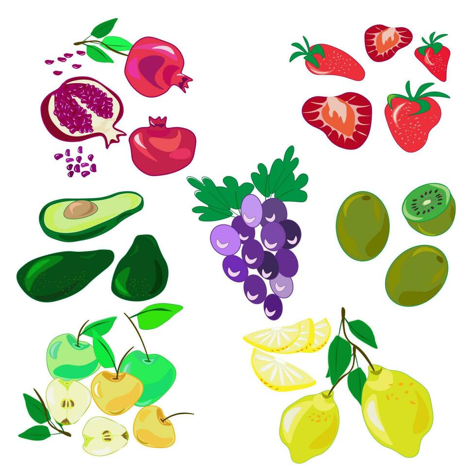 vers tropisch fruit zomer vers .vector illustratie vruchten. vector