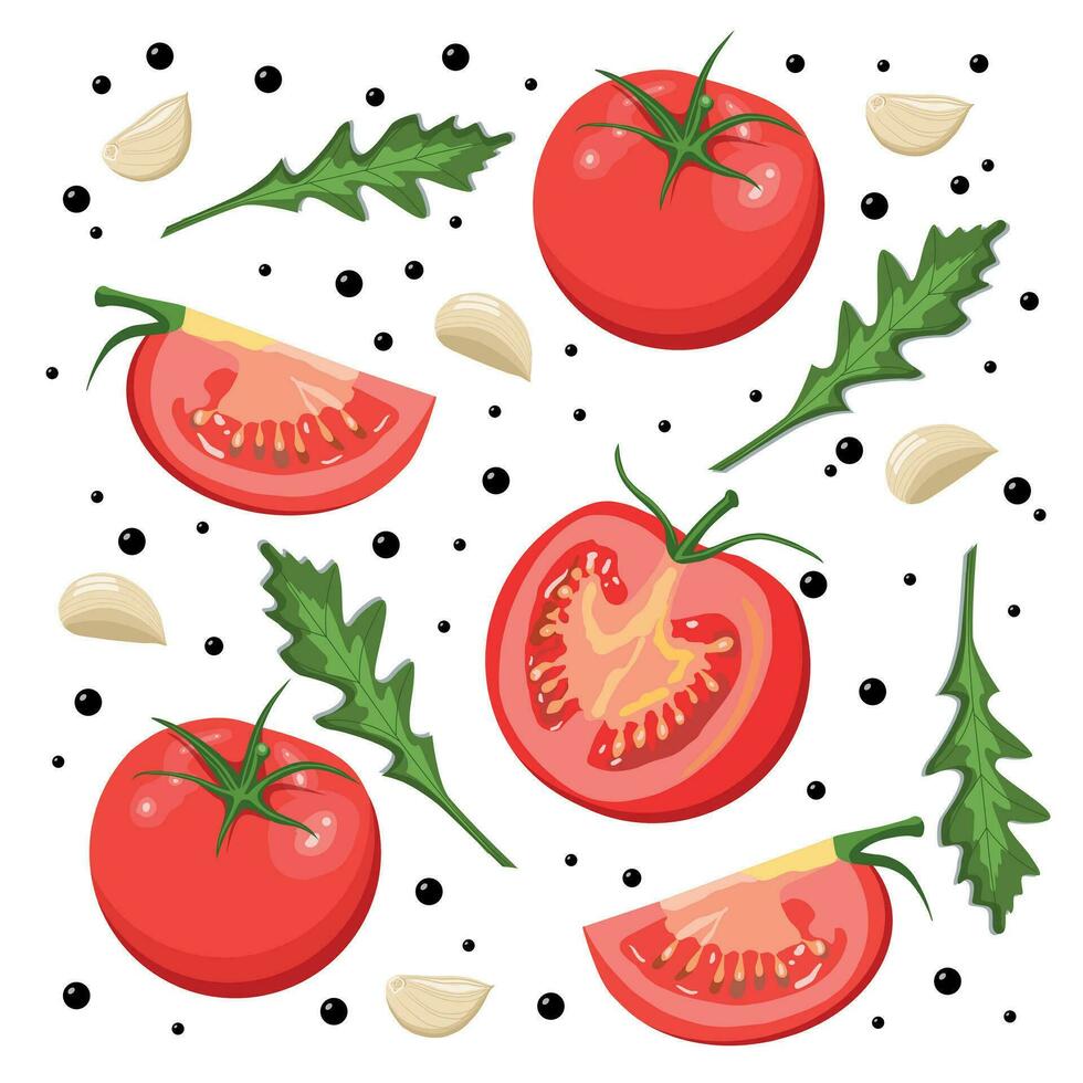 tomaten patroon Aan een wit achtergrond. voor de helft een tomaat, een plak en een geheel tomaat. samenstelling van tomaten met basilicum, knoflook en specerijen. vector