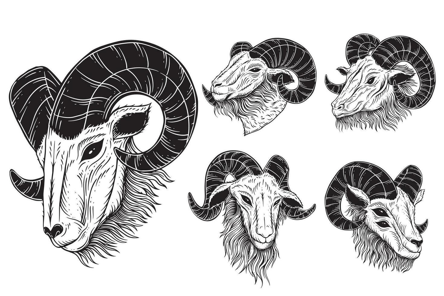 reeks bundel satanisch geit hoofd hoorns schapen schedel donker kunst zwart wit voor tatoeëren kleding hand- getrokken illustratie vector