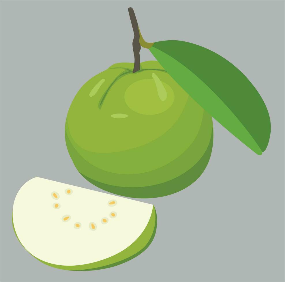 guava met groen kleur vector