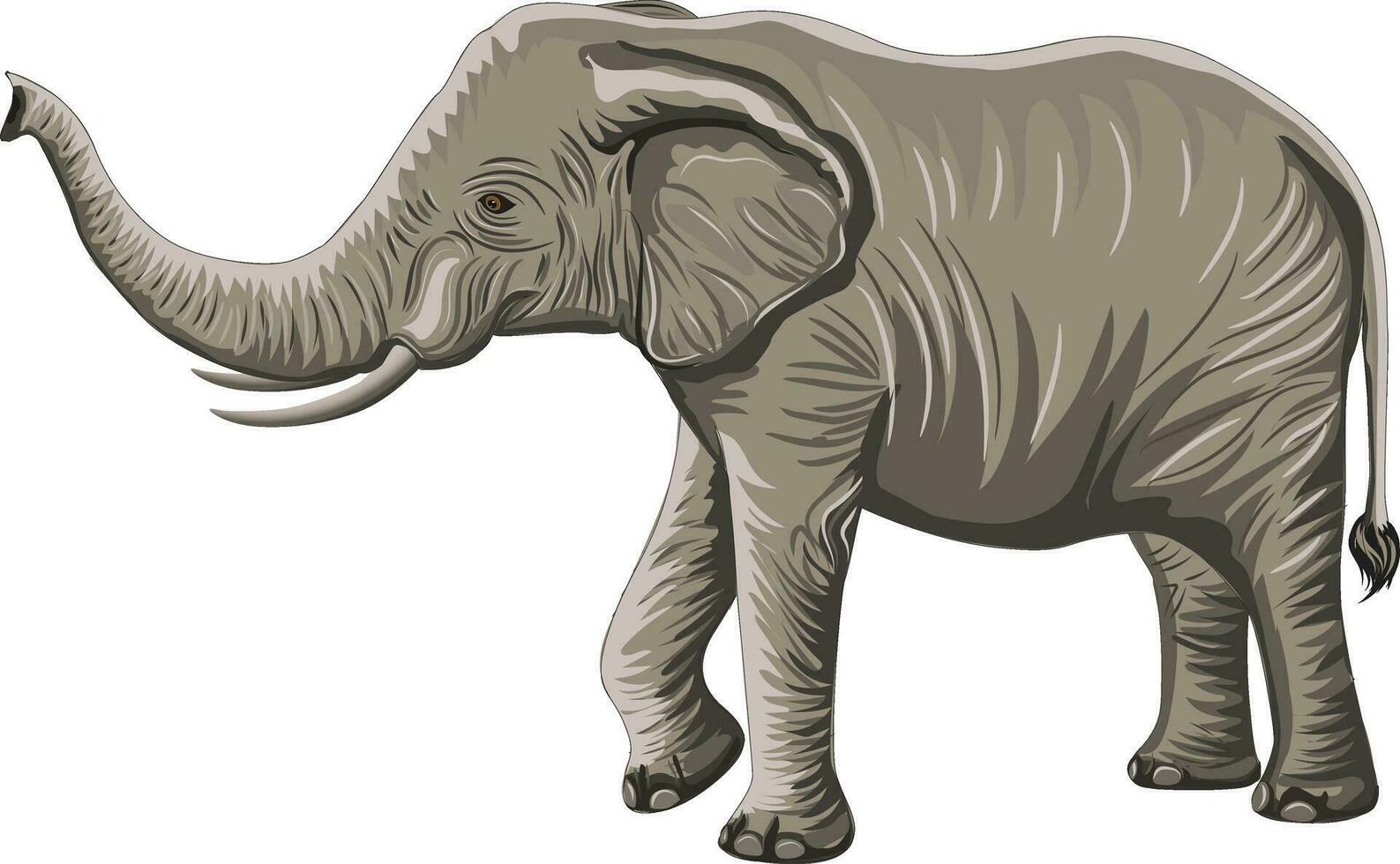 olifant vector met zwart en grijs kleur