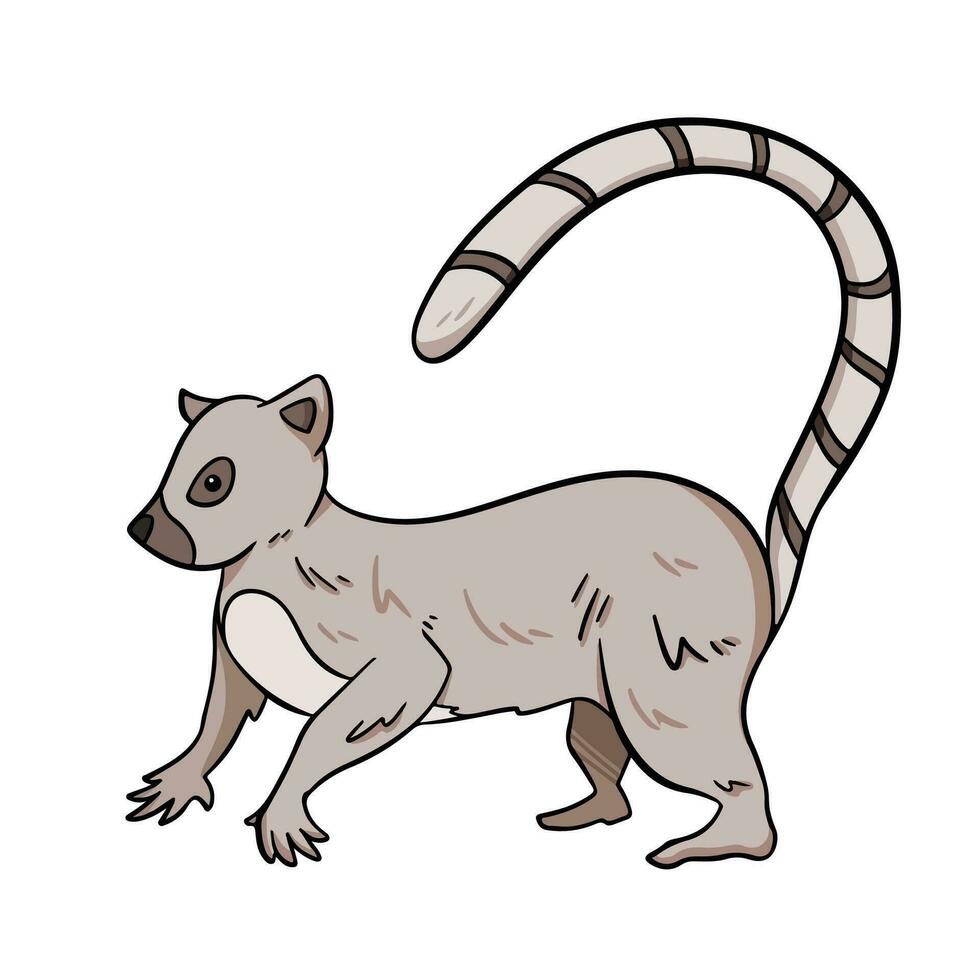 lemur wild dieren gekleurde vector illustratie geschetst geïsoleerd Aan plein wit achtergrond. gemakkelijk vlak kant visie tekenfilm tekening.