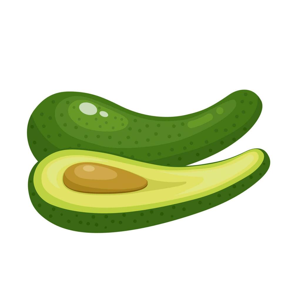 vector illustratie, lang nek avocado, geïsoleerd Aan wit achtergrond.