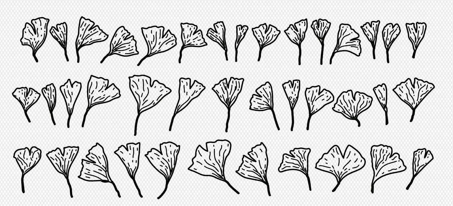 gingko biloba verzameling. hand- getrokken illustratie van haarmos boom. vector