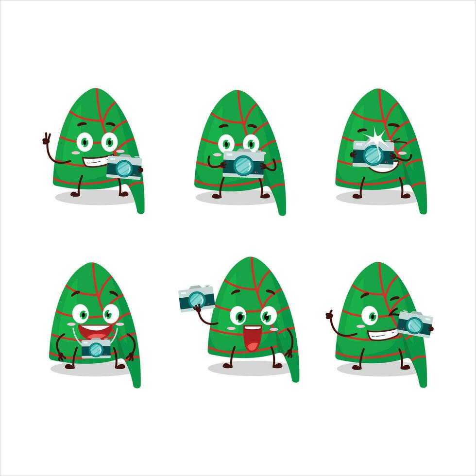 fotograaf beroep emoticon met groen strepen elf hoed tekenfilm karakter vector