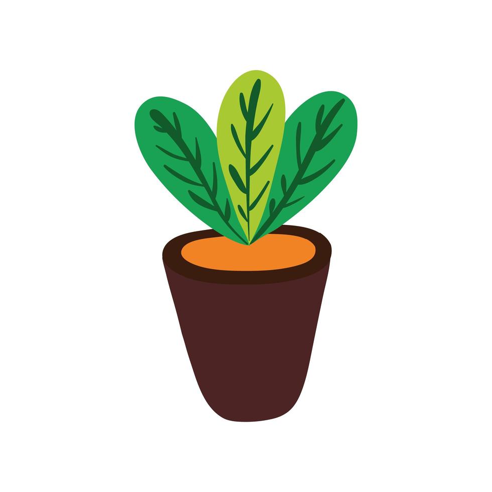 kamerplant in keramische pot pictogram vector