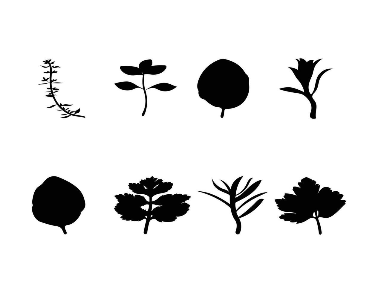 kruiden blad of gebladerte silhouet, geïsoleerd Aan wit achtergrond, bundel van natuurlijk geneeskunde boom bladeren vector