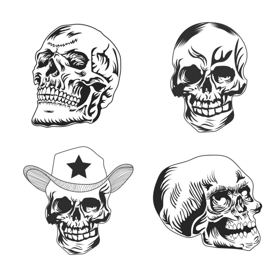 een reeks van menselijk schedel vectoren illustratie