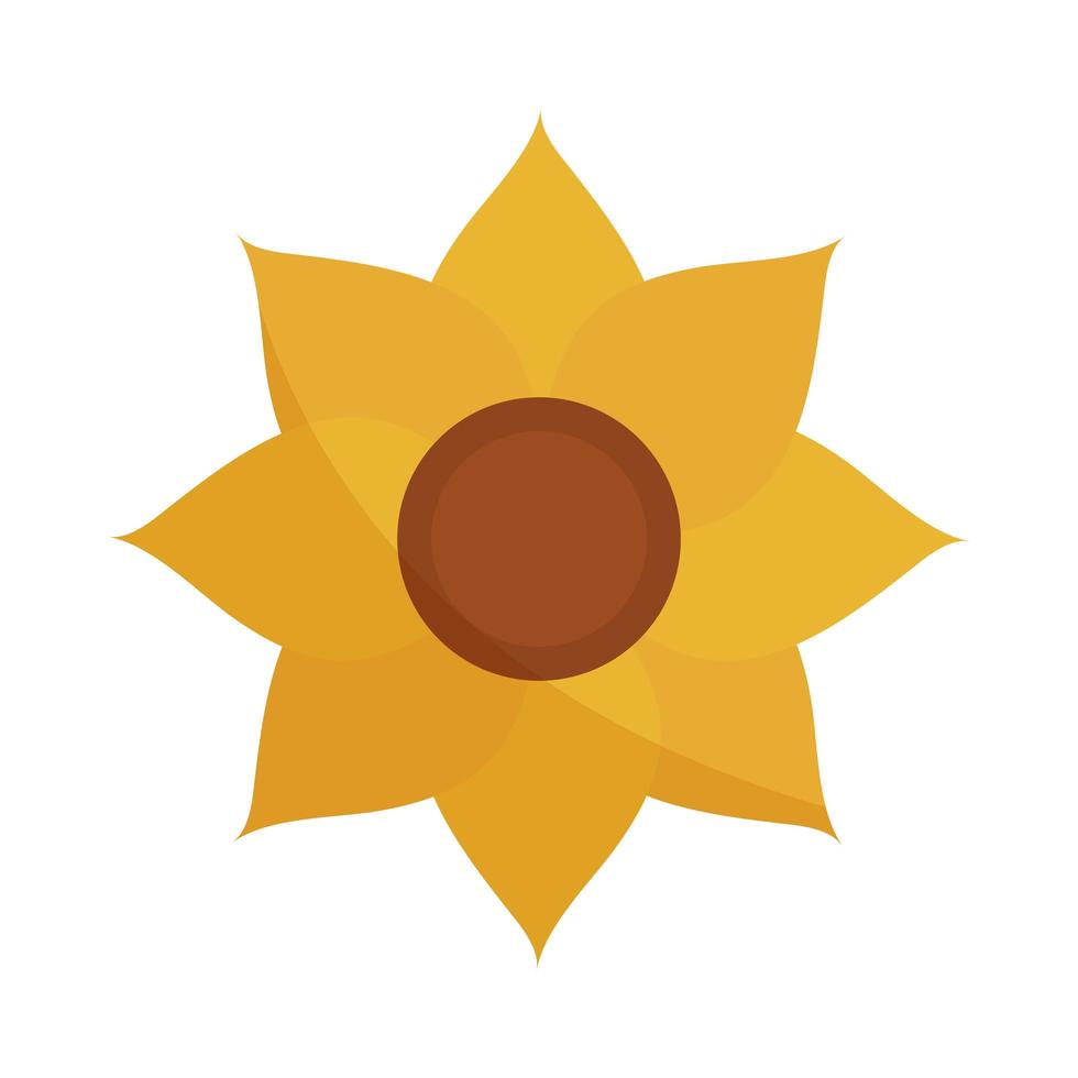 zonnebloem bloem natuur decoratie plat icoon met schaduw vector