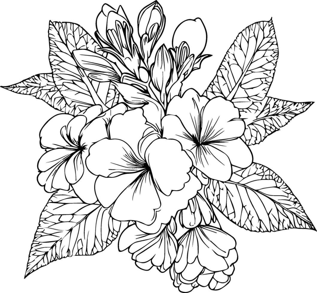 sleutelbloem bloem vector, elementen zomer verzameling, hand geschilderd sleutelbloem kleur Pagina's, vector schetsen, potlood kunst primula bloem, wijnoogst bloemen ontwerp wilde bloemen met kleur boek voor volwassenen