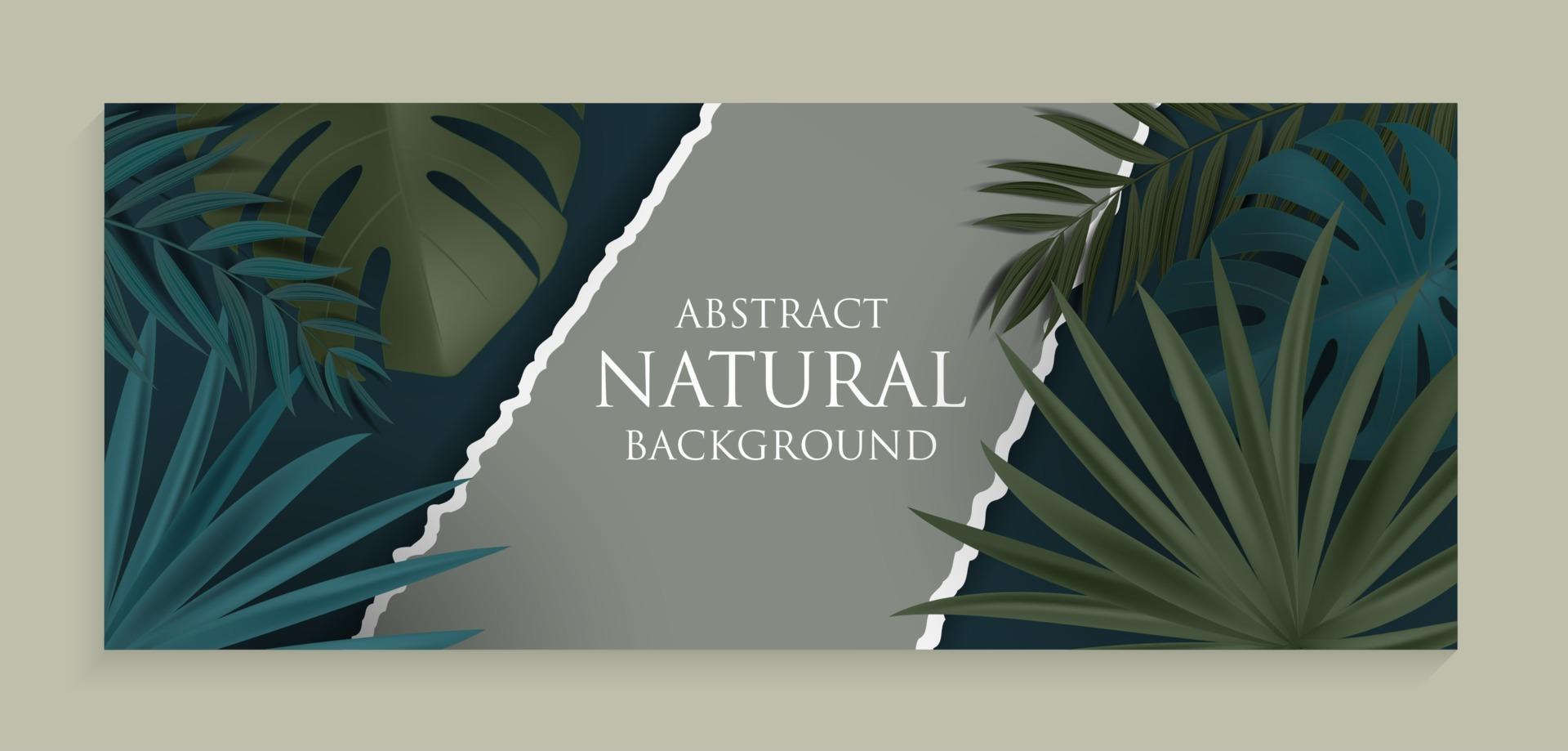 abstracte natuurlijke achtergrond met tropische palm en monsterabladeren. vector illustratie eps10
