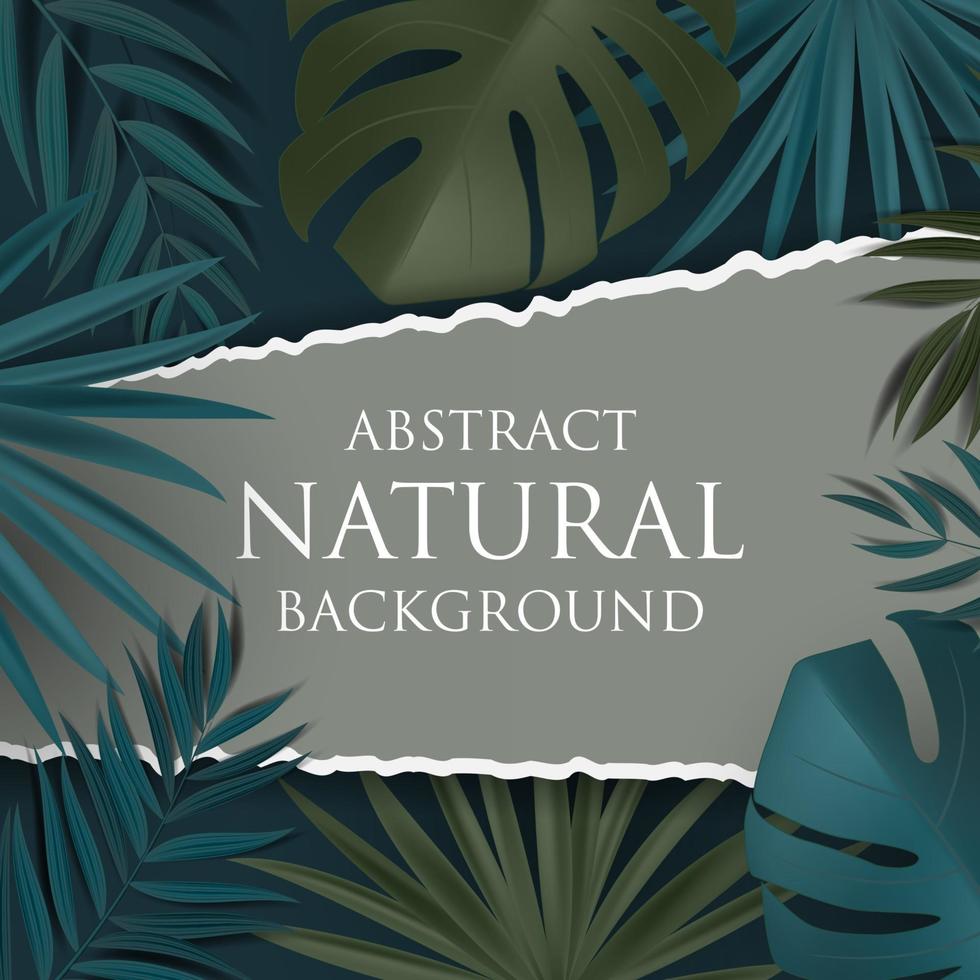 abstracte natuurlijke achtergrond met tropische palm en monsterabladeren. vector illustratie eps10