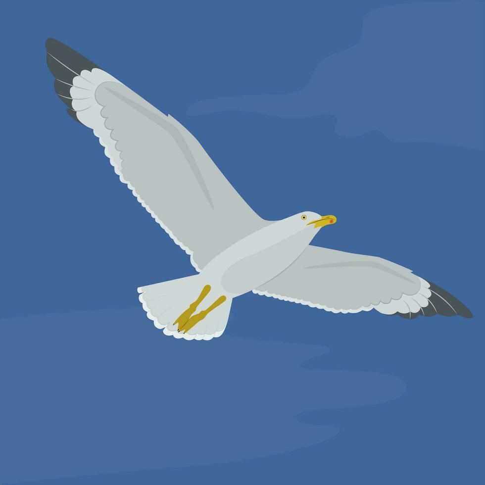 vector illustratie van een vogel in de lucht. meeuw.