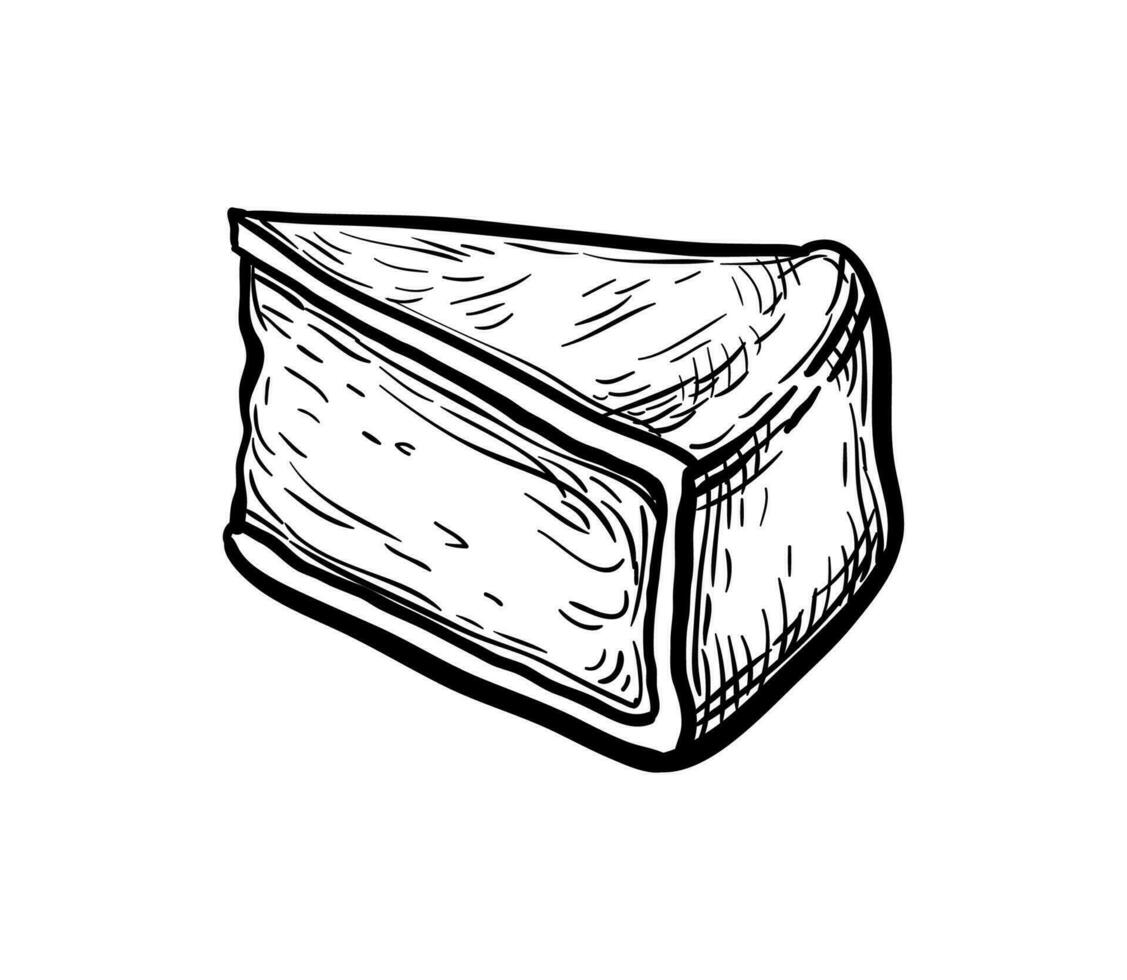 stuk van Camembert kaas. inkt schetsen geïsoleerd Aan wit achtergrond. hand- getrokken vector illustratie. wijnoogst stijl beroerte tekening.