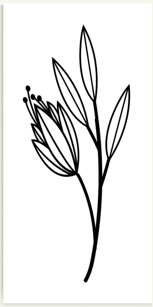 bloemen takken en minimalistische bloemen voor logo of tatoeëren. hand getekend lijn bruiloft kruid, elegant bladeren. vector