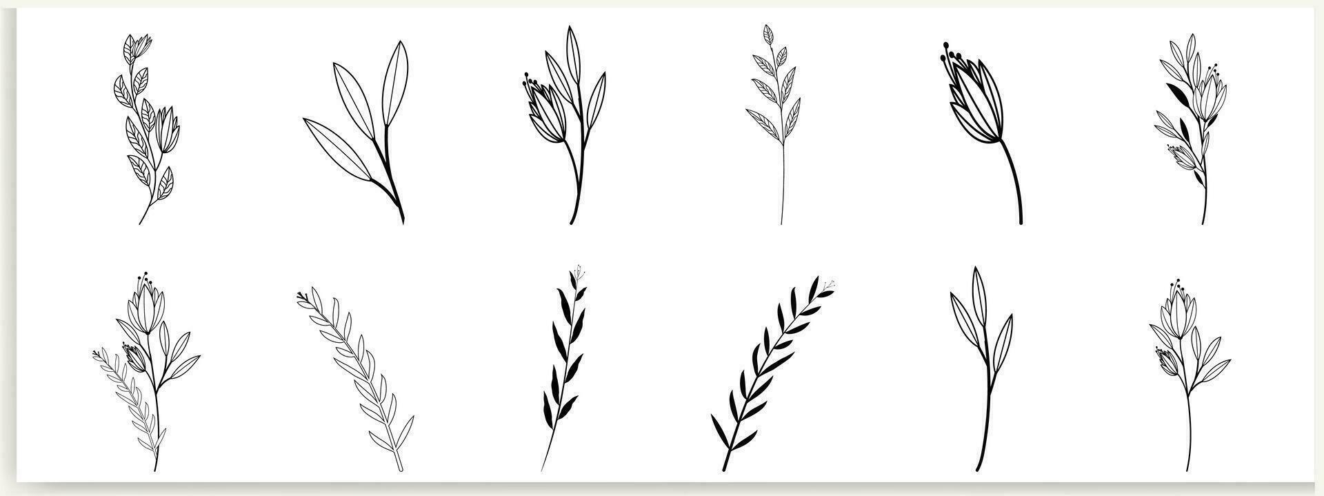 botanisch abstract lijn kunst, hand getekend boeketten van kruiden, bloemen, bladeren, en takken, vector illustratie