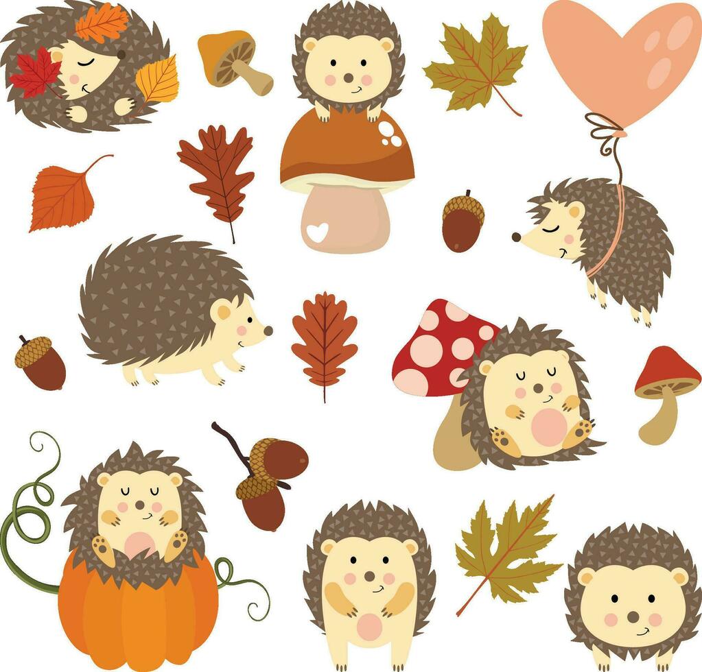 reeks van schattig herfst egel vector