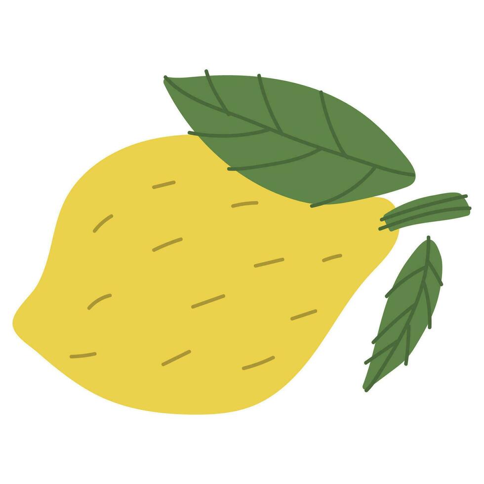 illustratie citroen single vector