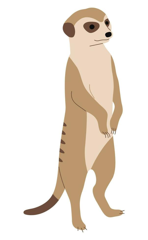 meerkat single schattig vector