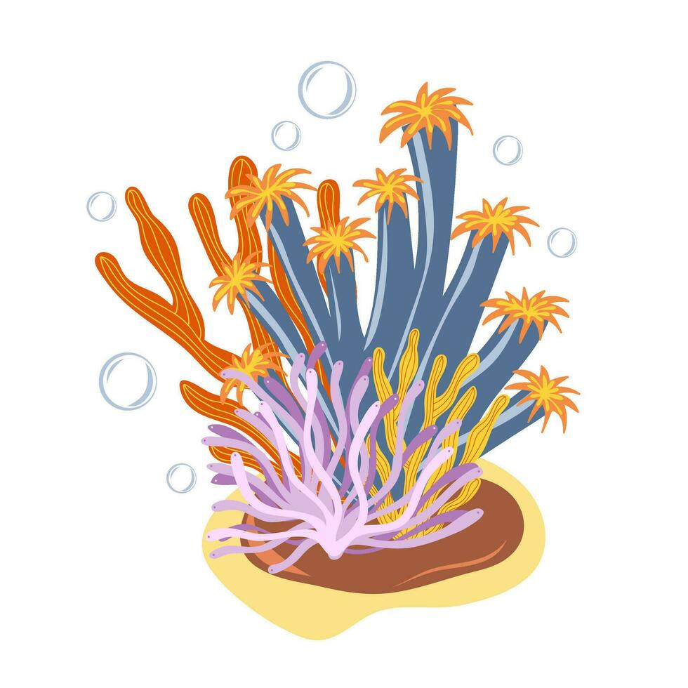 koralen en zeewier. botanisch illustratie vector