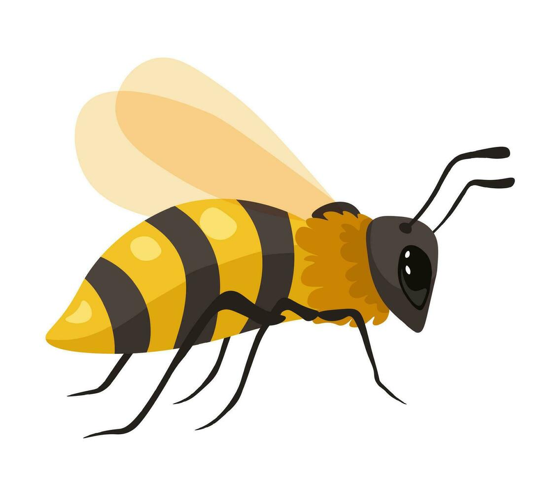 bij sociaal insect honingbij kolonie, vector icoon