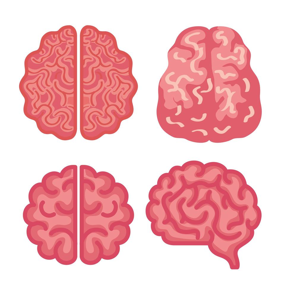 neurologie hersenen gezonde iconen set vector