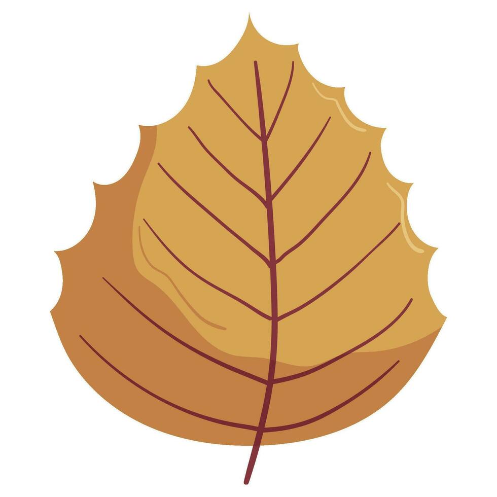 herfst Woud blad illustratie. vector