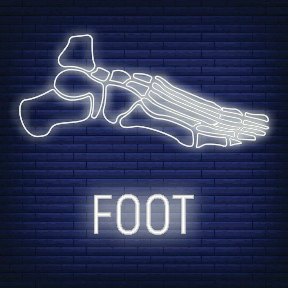 concept voet bot icoon gloed neon stijl, skelet een deel organisme, röntgen menselijk lichaam beeld geïsoleerd Aan zwart, vlak vector illustratie.